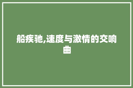 船疾驰,速度与激情的交响曲