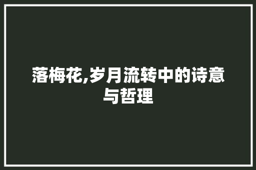 落梅花,岁月流转中的诗意与哲理