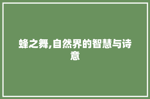 蜂之舞,自然界的智慧与诗意