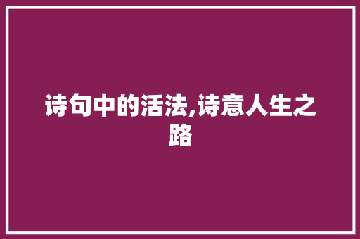 诗句中的活法,诗意人生之路