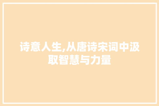 诗意人生,从唐诗宋词中汲取智慧与力量