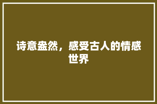 诗意盎然，感受古人的情感世界