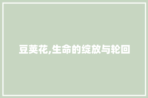 豆荚花,生命的绽放与轮回