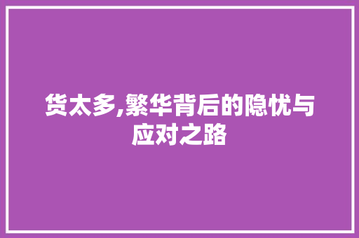 货太多,繁华背后的隐忧与应对之路
