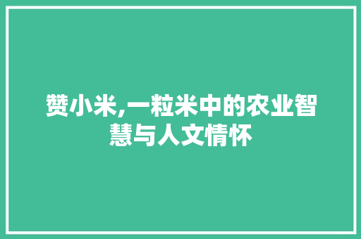赞小米,一粒米中的农业智慧与人文情怀