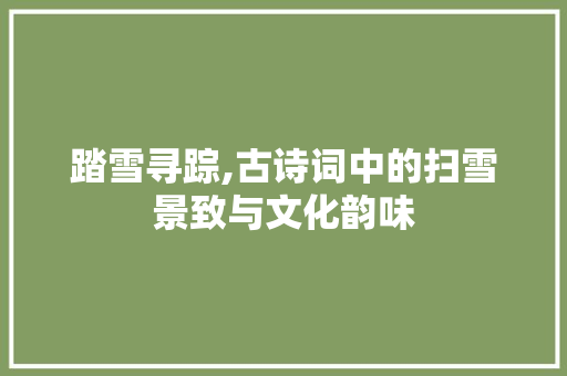 踏雪寻踪,古诗词中的扫雪景致与文化韵味