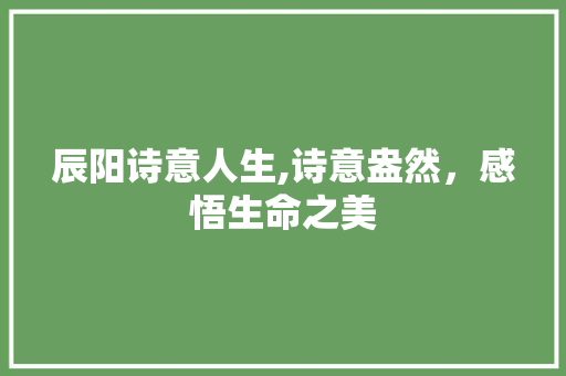 辰阳诗意人生,诗意盎然，感悟生命之美