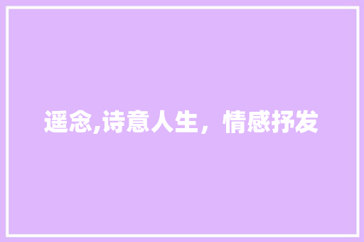 遥念,诗意人生，情感抒发