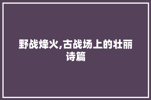 野战烽火,古战场上的壮丽诗篇