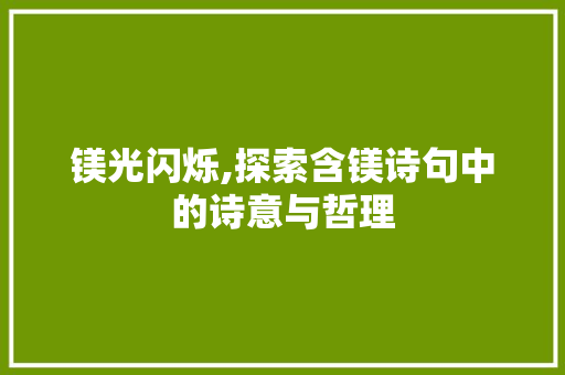镁光闪烁,探索含镁诗句中的诗意与哲理