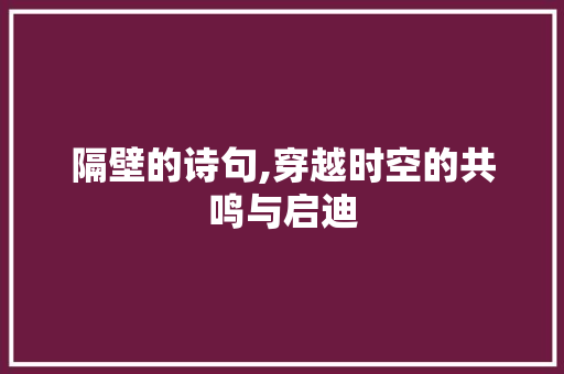 隔壁的诗句,穿越时空的共鸣与启迪 职场应用