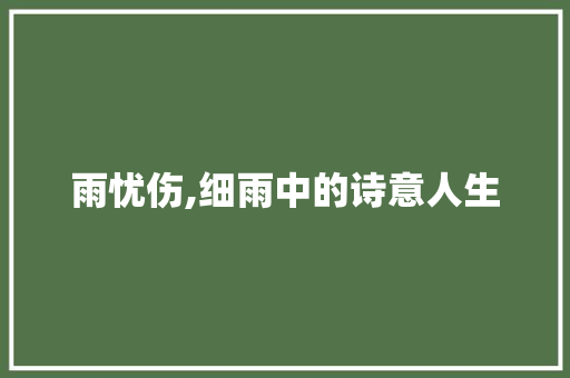 雨忧伤,细雨中的诗意人生