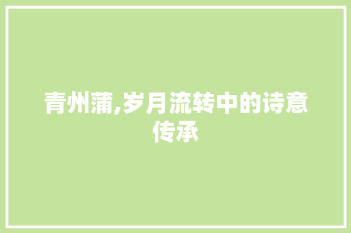 青州蒲,岁月流转中的诗意传承
