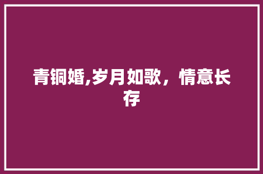 青铜婚,岁月如歌，情意长存
