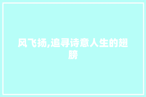 风飞扬,追寻诗意人生的翅膀