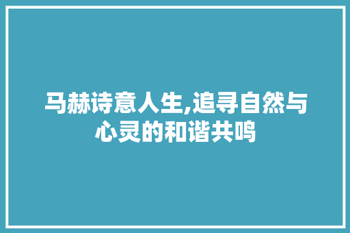 马赫诗意人生,追寻自然与心灵的和谐共鸣