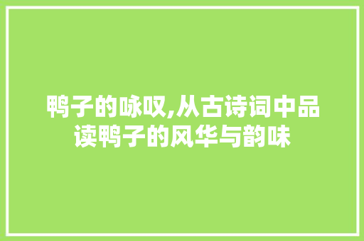 鸭子的咏叹,从古诗词中品读鸭子的风华与韵味
