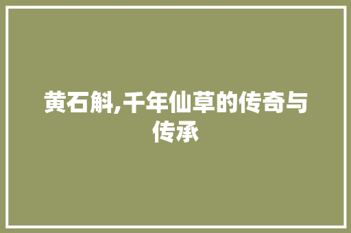 黄石斛,千年仙草的传奇与传承