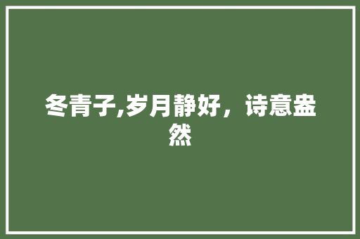 冬青子,岁月静好，诗意盎然