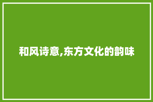和风诗意,东方文化的韵味
