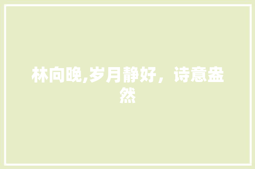 林向晚,岁月静好，诗意盎然