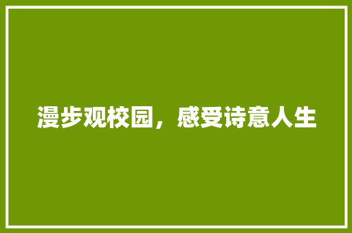 漫步观校园，感受诗意人生