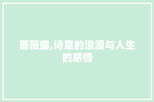 蔷薇露,诗意的浪漫与人生的感悟