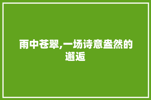 雨中苍翠,一场诗意盎然的邂逅