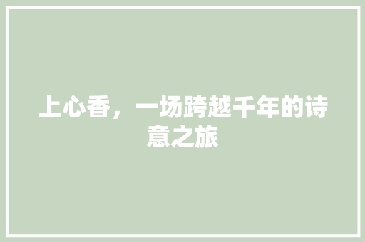 上心香，一场跨越千年的诗意之旅