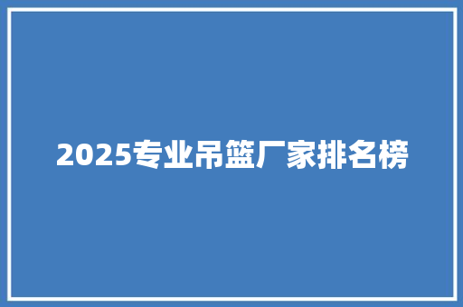 2025专业吊篮厂家排名榜