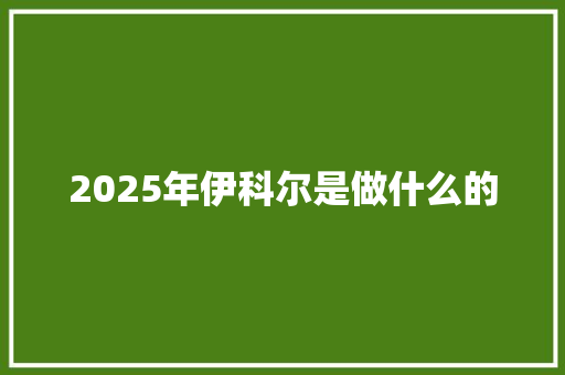 2025年伊科尔是做什么的