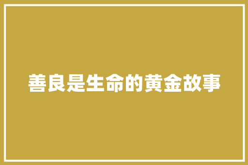 2025年北辰美术培训哪里好一点