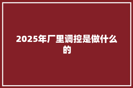 2025年厂里调控是做什么的