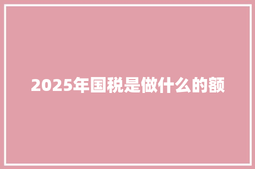 2025年国税是做什么的额