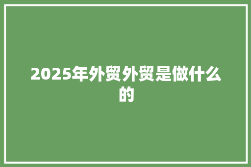 2025年外贸外贸是做什么的