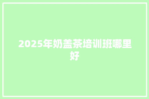 2025年奶盖茶培训班哪里好