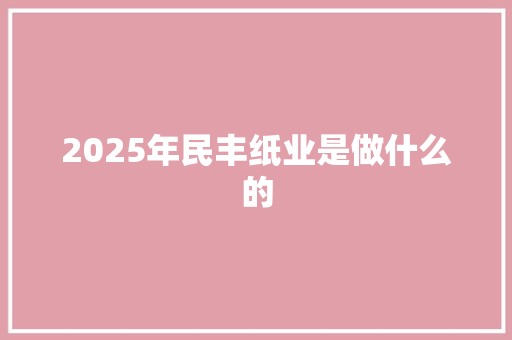 2025年民丰纸业是做什么的