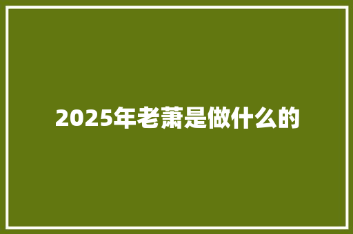 2025年老萧是做什么的