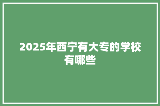 2025年西宁有大专的学校有哪些