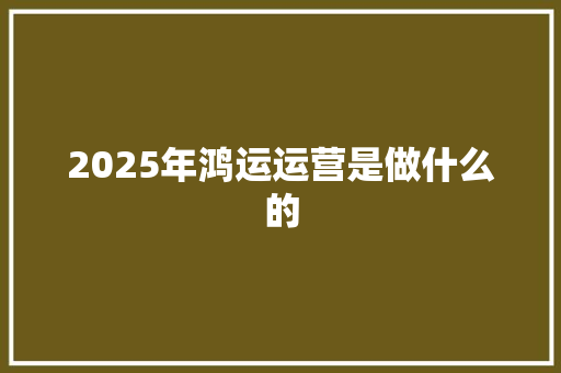 2025年鸿运运营是做什么的