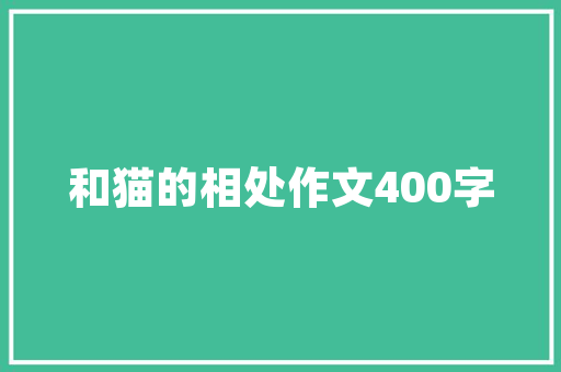2025年飞书软件是做什么的