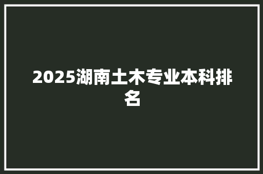 2025湖南土木专业本科排名