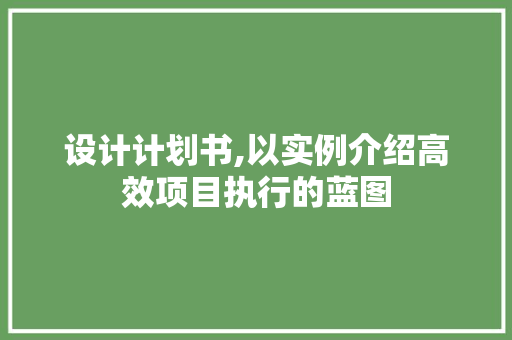 设计计划书,以实例介绍高效项目执行的蓝图