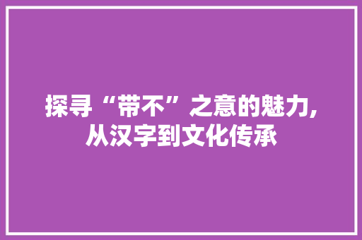 探寻“带不”之意的魅力,从汉字到文化传承