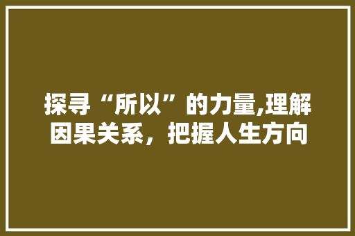 探寻“所以”的力量,理解因果关系，把握人生方向