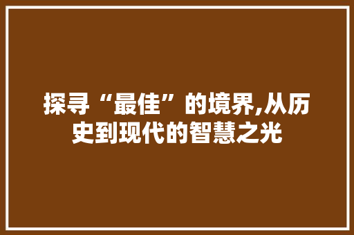 探寻“最佳”的境界,从历史到现代的智慧之光