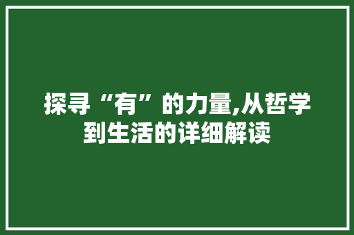探寻“有”的力量,从哲学到生活的详细解读