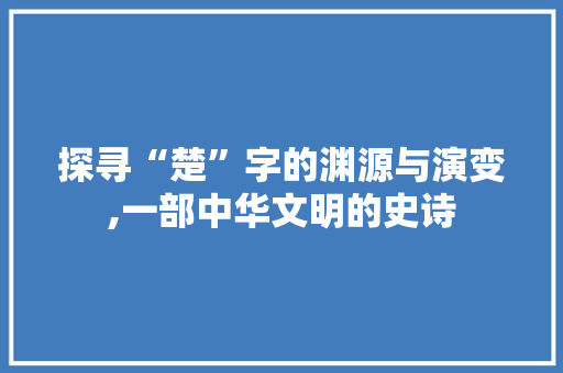 探寻“楚”字的渊源与演变,一部中华文明的史诗