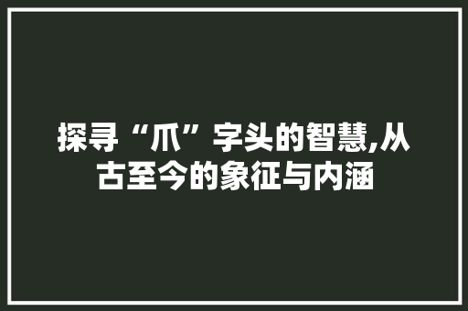 探寻“爪”字头的智慧,从古至今的象征与内涵