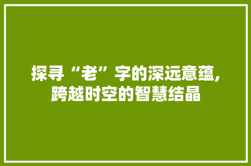 探寻“老”字的深远意蕴,跨越时空的智慧结晶